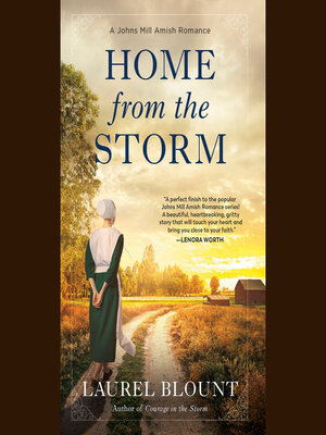 cover image of Home from the Storm